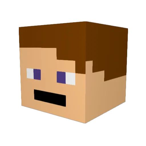 Bumblexx Minecraft avatar head, 3D render