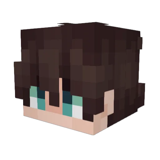 BumbuSs Minecraft avatar head, 3D render