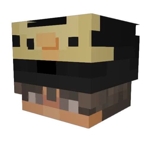 BummBummboy Minecraft avatar head, 3D render