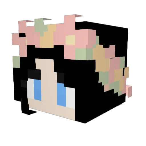 BummerDude69 Minecraft avatar head, 3D render