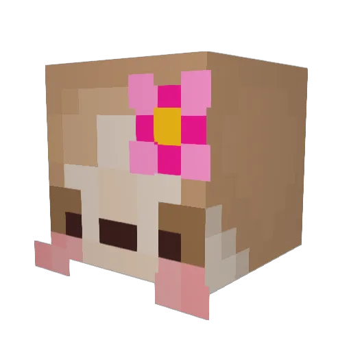 Bummer_Bud Minecraft avatar head, 3D render