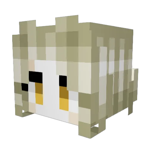 BummsDieBiene Minecraft avatar head, 3D render
