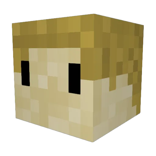 BumpyComa8003 Minecraft avatar head, 3D render