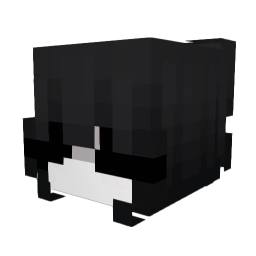 Bumpz11 Minecraft avatar head, 3D render