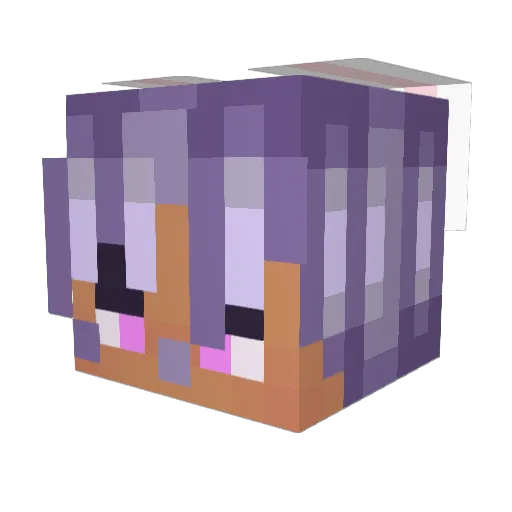 Bun24 Minecraft avatar head, 3D render