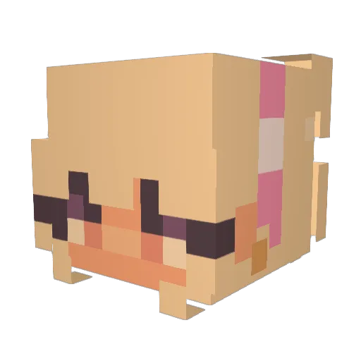 BunBunLover Minecraft avatar head, 3D render