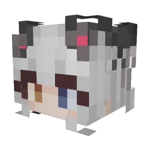 BunBunny22 Minecraft avatar head, 3D render