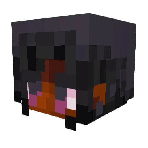 BunChan69 Minecraft avatar head, 3D render