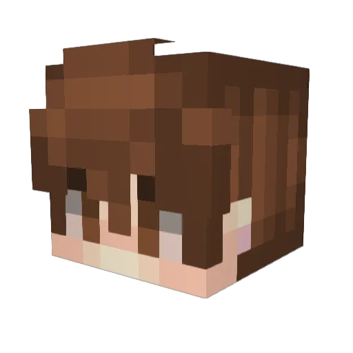 BunG16 Minecraft avatar head, 3D render