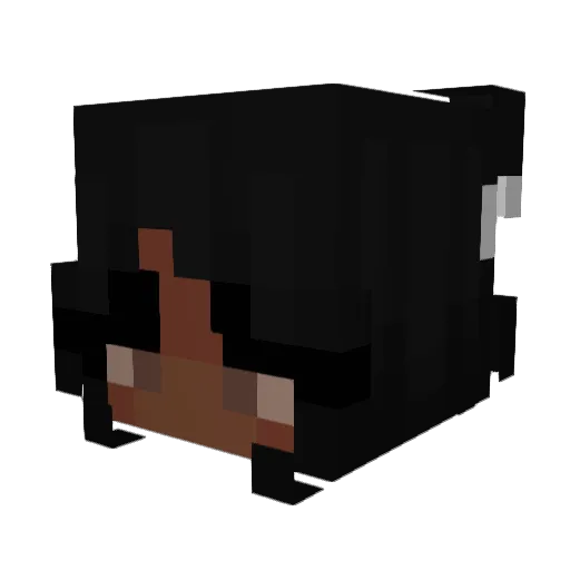 Bunbun23245 Minecraft avatar head, 3D render