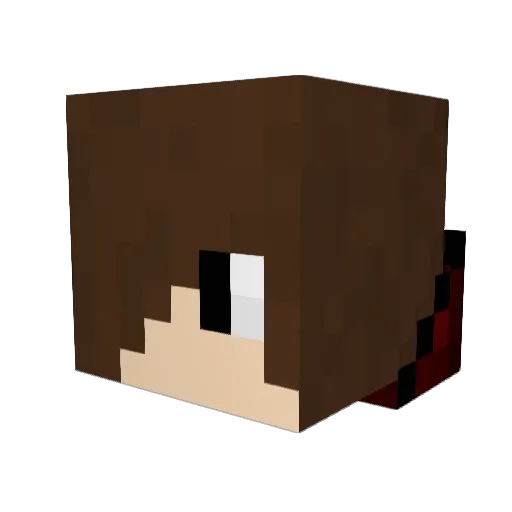 Buncey_ Minecraft avatar head, 3D render