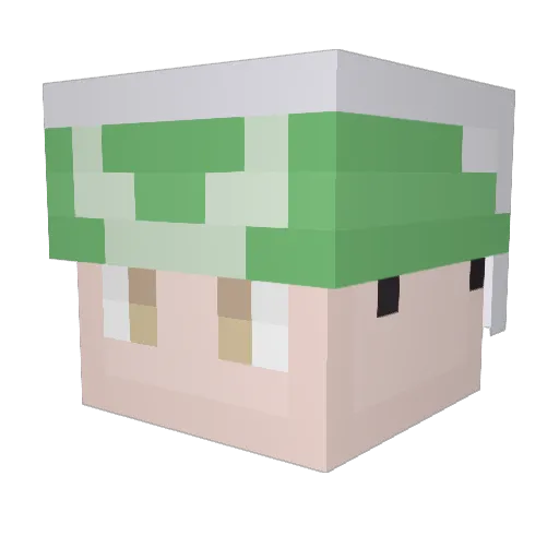 BunchaJokers Minecraft avatar head, 3D render