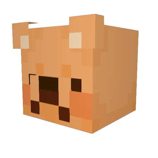 Bunchabears Minecraft avatar head, 3D render