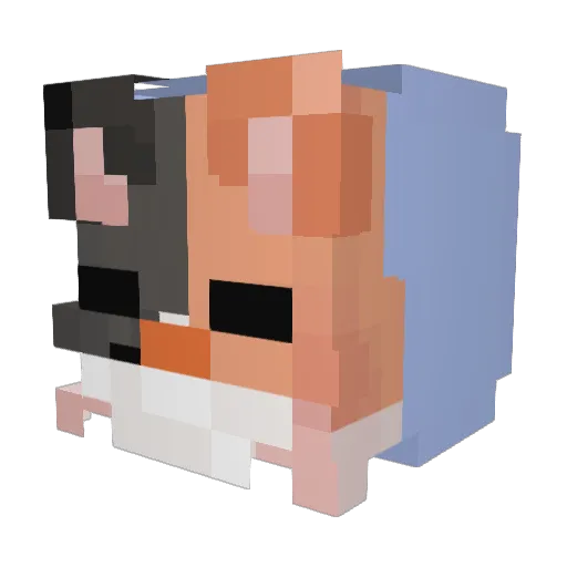 Bunchcat Minecraft avatar head, 3D render