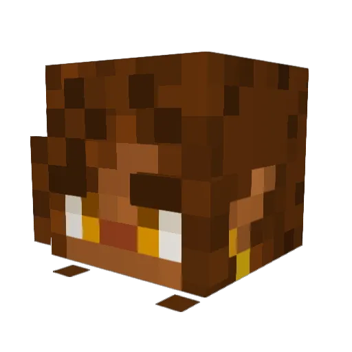 BunchesofAsh Minecraft avatar head, 3D render
