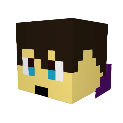 Bunchogamer Minecraft avatar head, 3D render