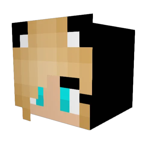 BundarTheRabaria Minecraft avatar head, 3D render
