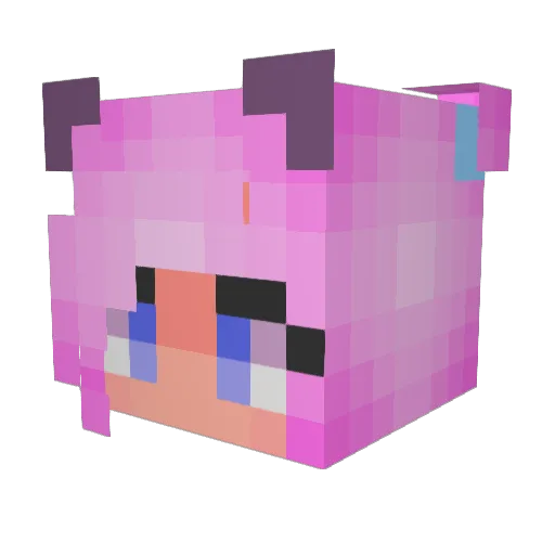 Bundoot Minecraft avatar head, 3D render