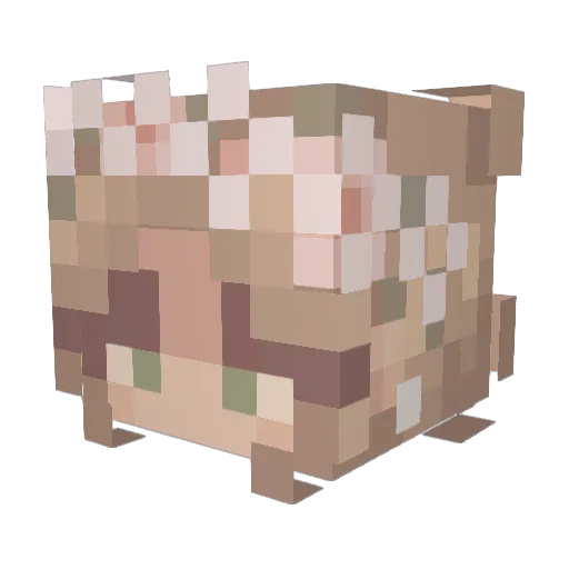 Bunette11 Minecraft avatar head, 3D render