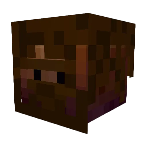 Bunex2235 Minecraft avatar head, 3D render