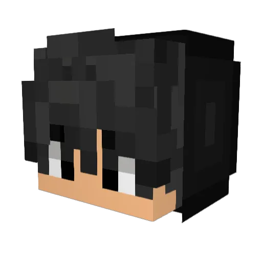 Bungee76 Minecraft avatar head, 3D render