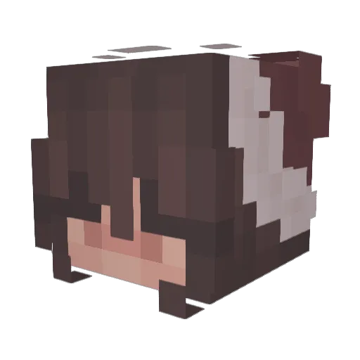 BungeeExploit Minecraft avatar head, 3D render