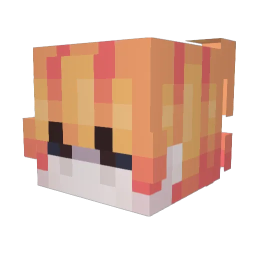 BungleFlatulence Minecraft avatar head, 3D render