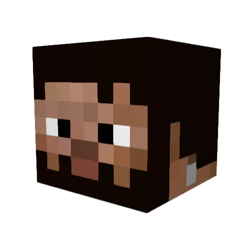 Bungledor Minecraft avatar head, 3D render
