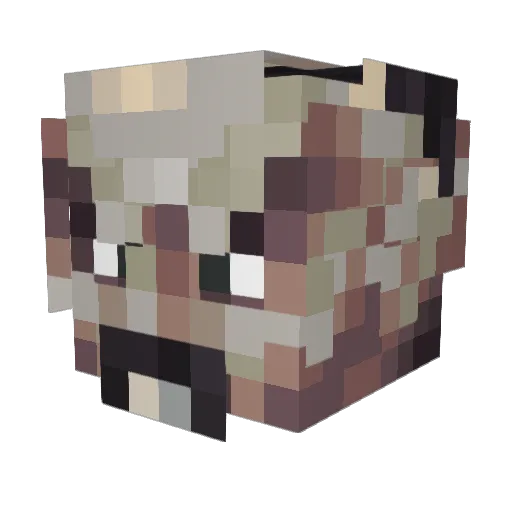 Bungr Minecraft avatar head, 3D render