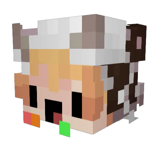 BungurBooce Minecraft avatar head, 3D render