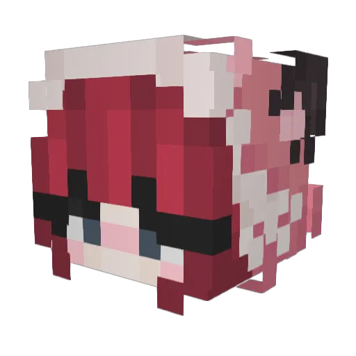 BungusBalls Minecraft avatar head, 3D render