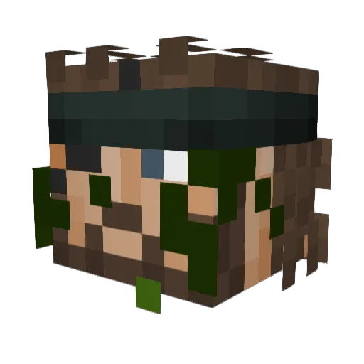 BungyHole Minecraft avatar head, 3D render