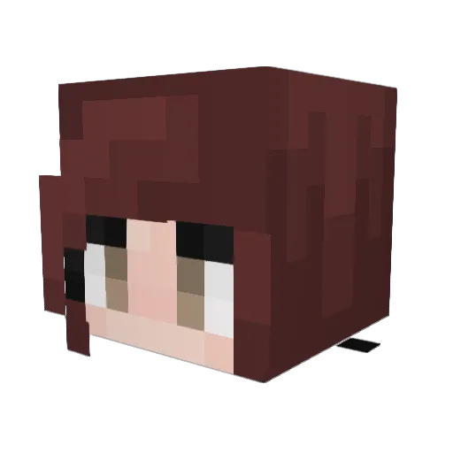 BuniCollector Minecraft avatar head, 3D render