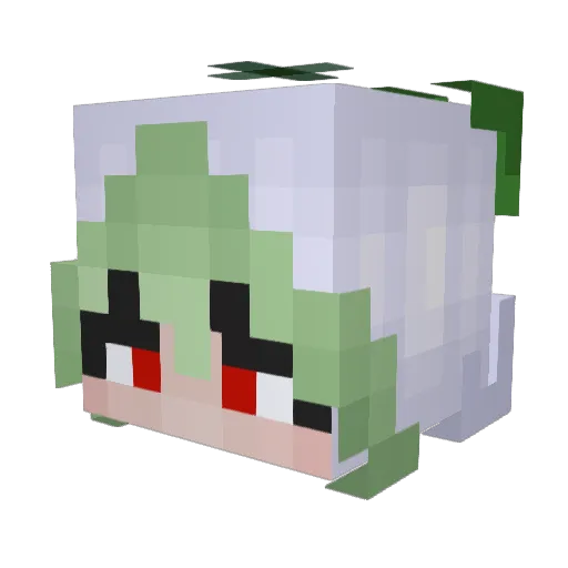 Bunii_Bee Minecraft avatar head, 3D render