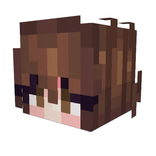 BunnaLop Minecraft avatar head, 3D render
