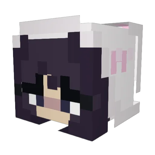 BunnehBish Minecraft avatar head, 3D render
