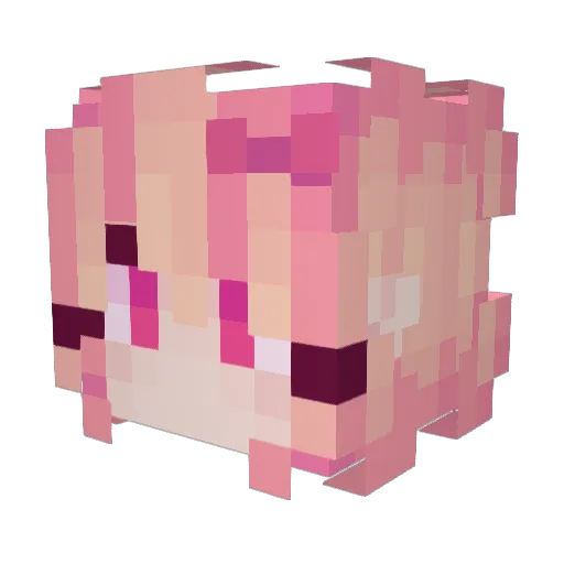 Bunneigh Minecraft avatar head, 3D render