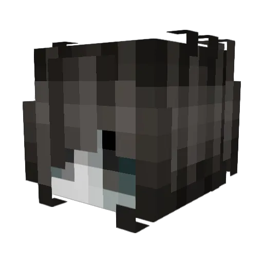 BunniAri Minecraft avatar head, 3D render