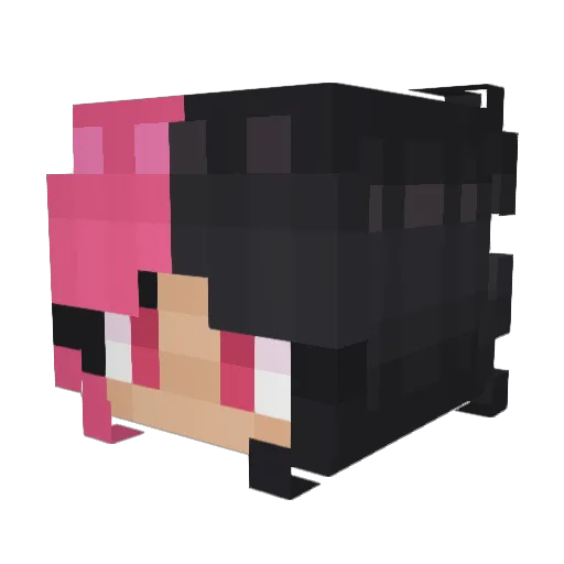 Bunnibana Minecraft avatar head, 3D render