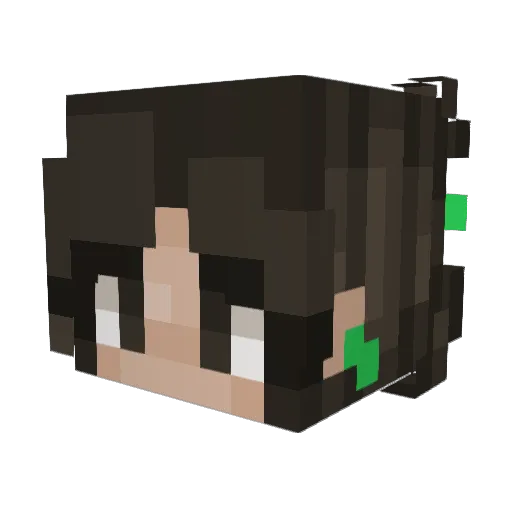 Bunnie64 Minecraft avatar head, 3D render