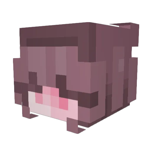 BunnieArie Minecraft avatar head, 3D render