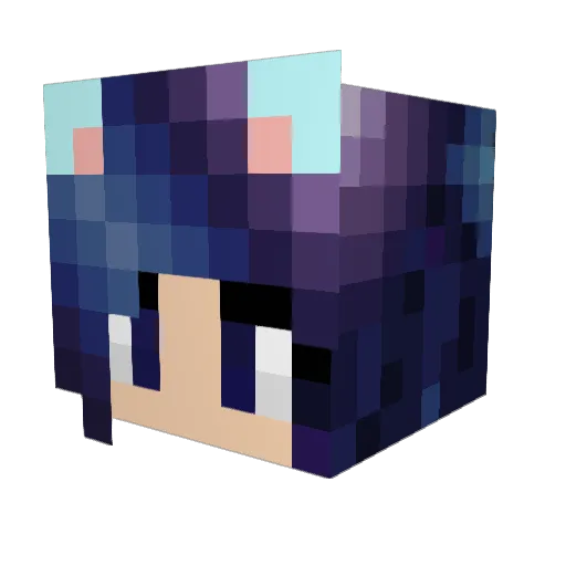 BunniePirate Minecraft avatar head, 3D render