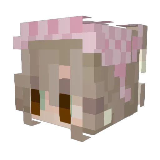 Bunnie_Bun Minecraft avatar head, 3D render