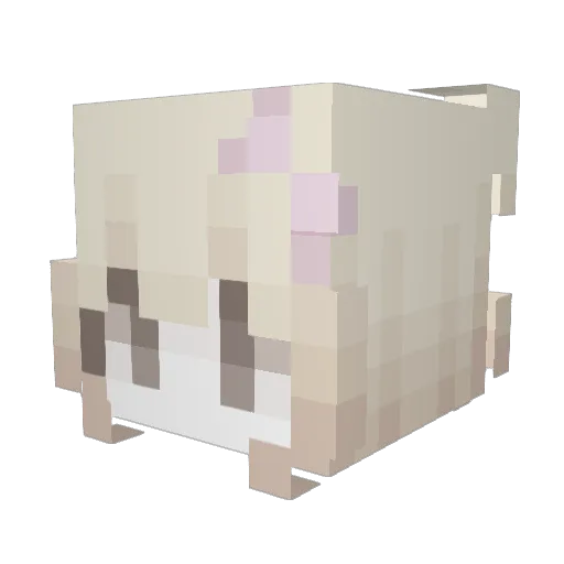 Bunnierin Minecraft avatar head, 3D render