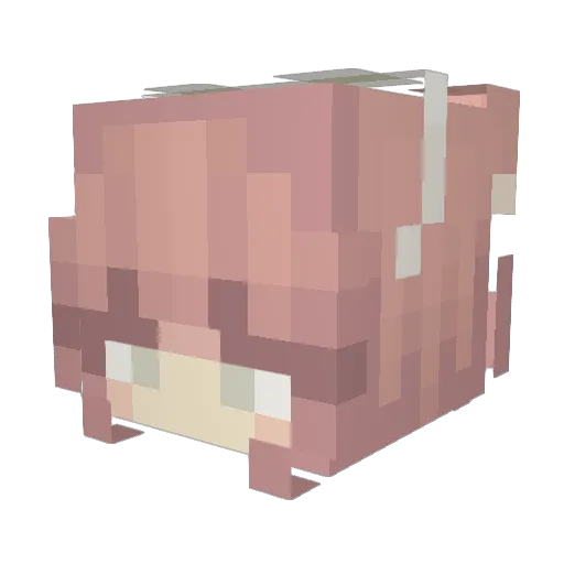 Bunnilyn Minecraft avatar head, 3D render