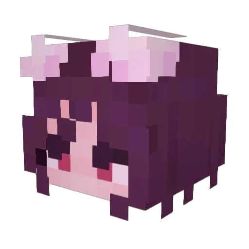 Bunns28 Minecraft avatar head, 3D render