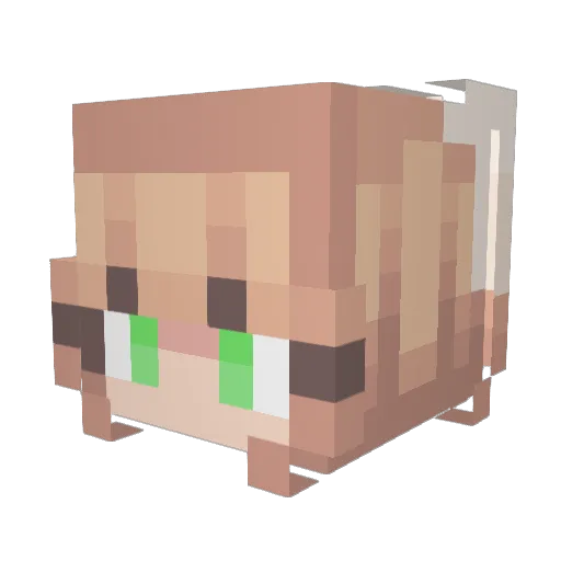 Bunny460 Minecraft avatar head, 3D render