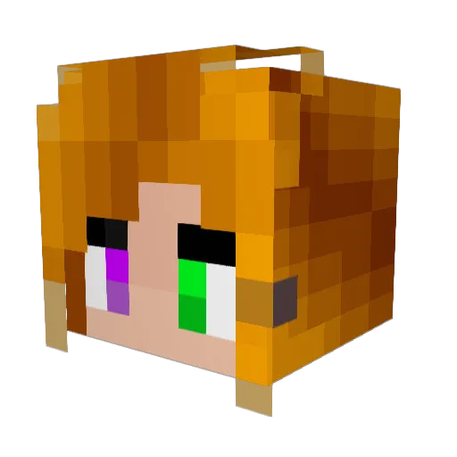 Bunny463 Minecraft avatar head, 3D render