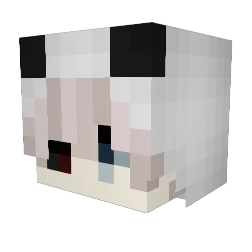 BunnyBR Minecraft avatar head, 3D render
