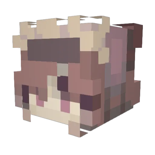 BunnyBandAidz Minecraft avatar head, 3D render